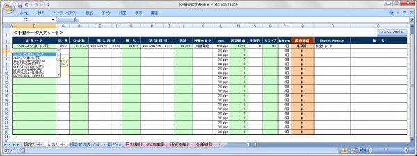 手動データ入力シート画面